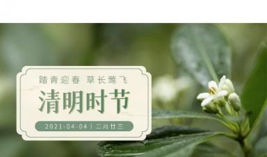 清明节|卓正科技放假通知